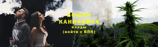 МДПВ Заводоуковск