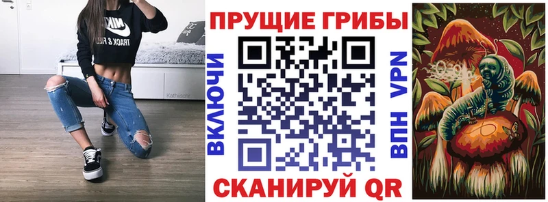 Галлюциногенные грибы мицелий  купить  сайты  Свирск 